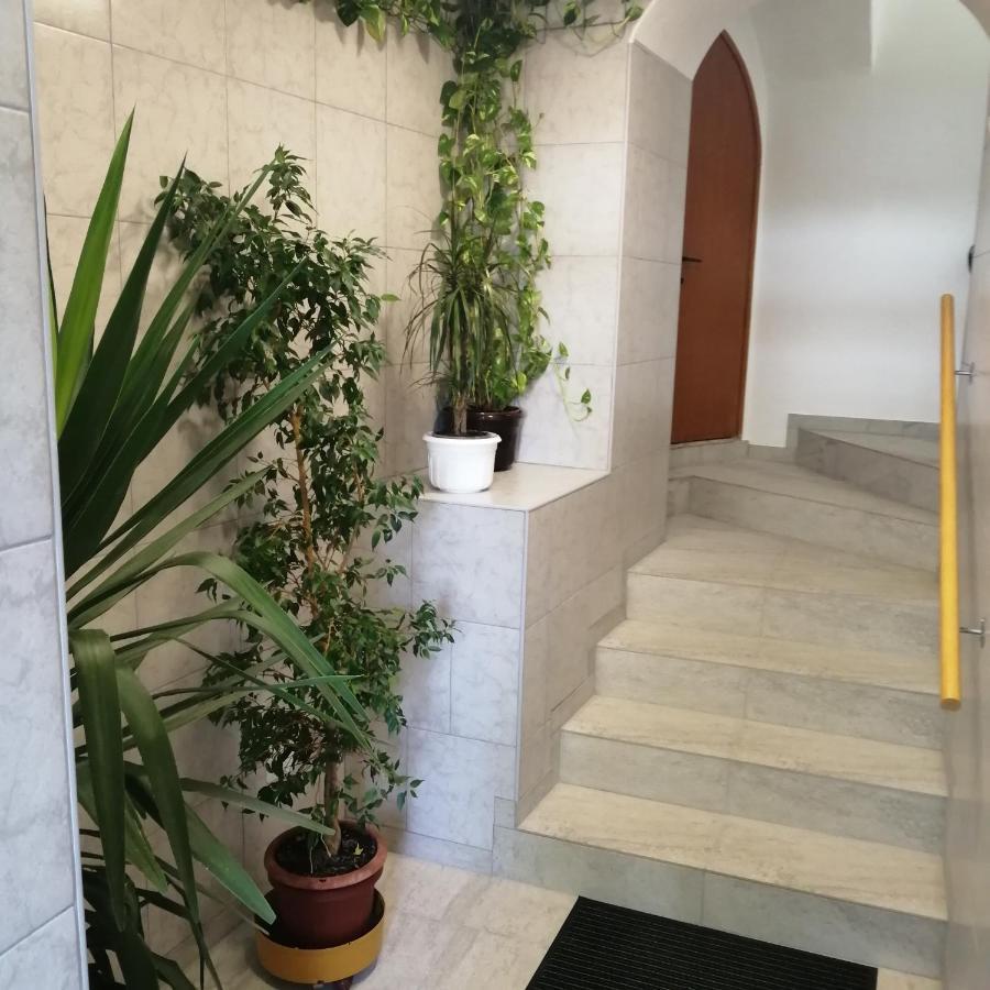 Apartmani Marijan ซริกเวนิซา ภายนอก รูปภาพ